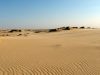 deserto-di-oleshky-ucraina