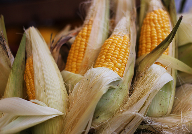 6 cereali alternativi al grano - mais