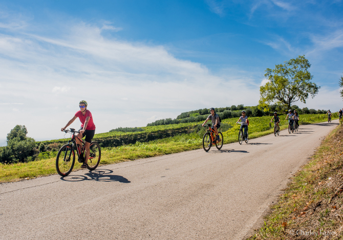 In bici sulle colline del Soave con il sistema eBike di Bosch -  SportOutdoor24
