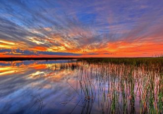 Everglades Florida
