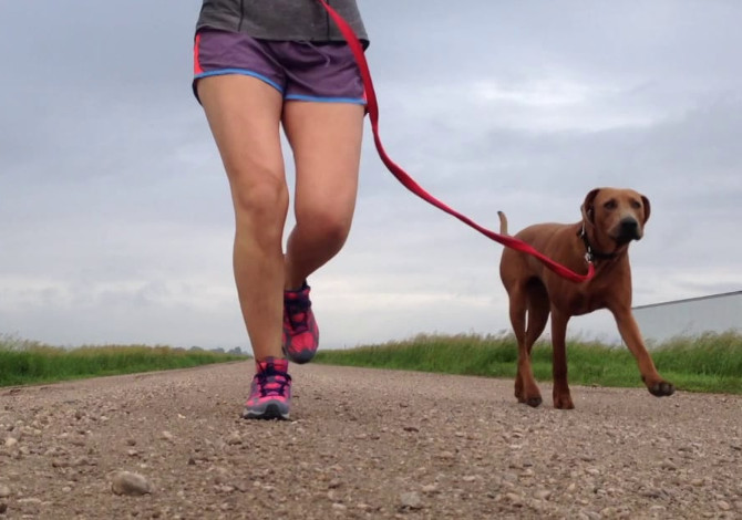 Cane miglior personal trainer