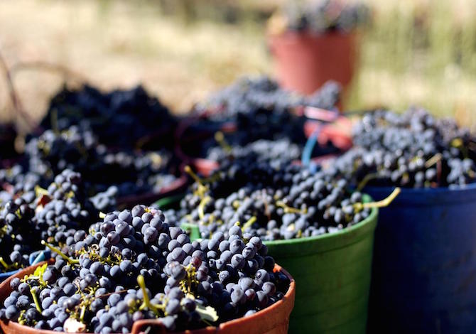 Strada dei Vini Alentejo. Foto vinhodsoalentejo