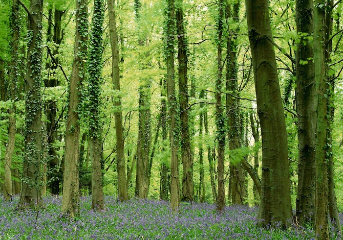 Costwold Way - National Trail