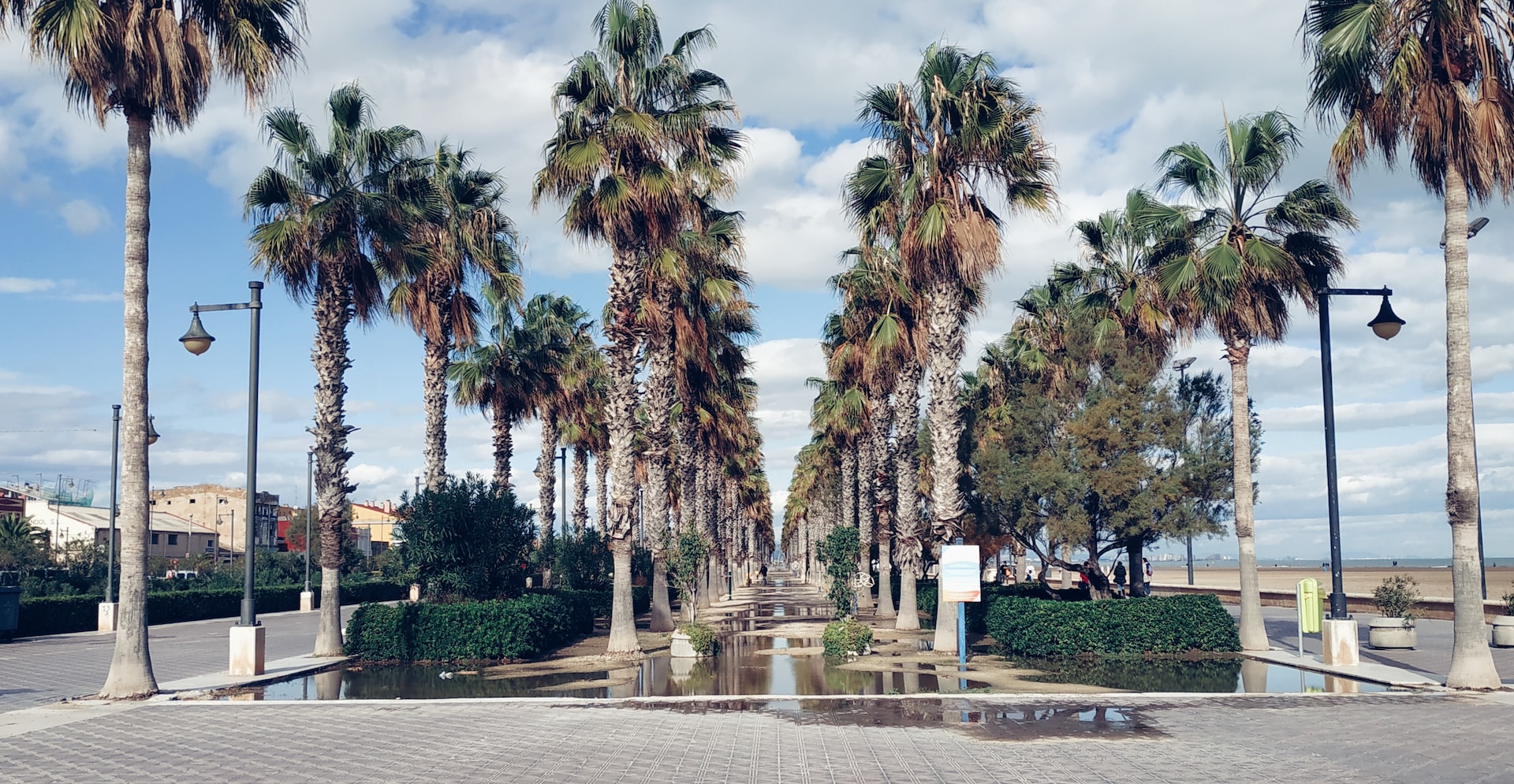 Dove correre a Valencia, la città del running