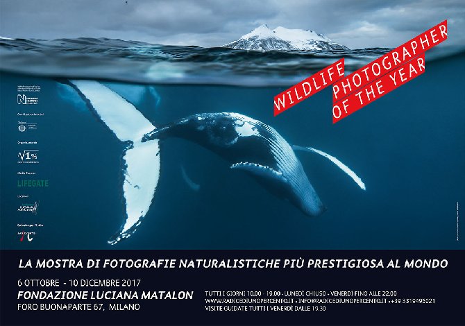 Locandina Wildlife Photographer of the Year 2016 Milano