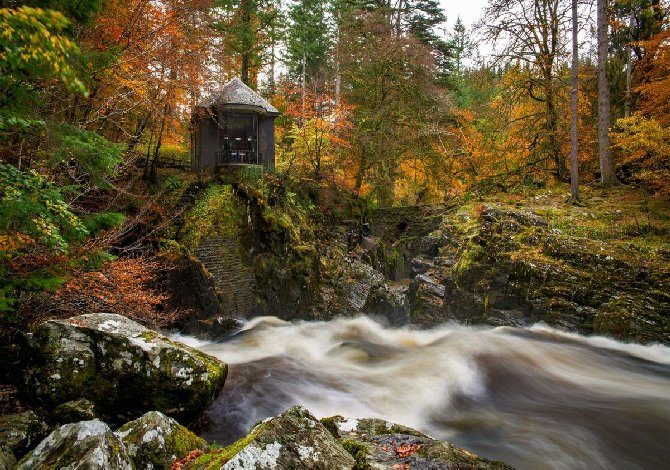 HERMITAGE foresta di Tolkien