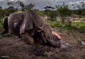 WLF_brent-stirton_0