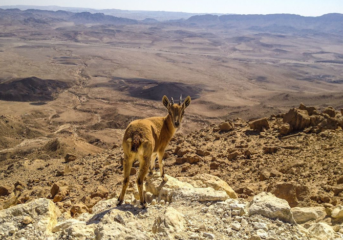 Visit Israel - Instagram