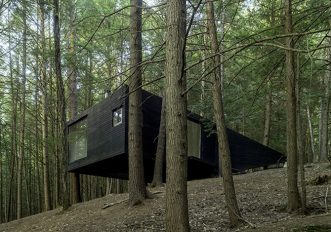 casa-albero-natura-bosco