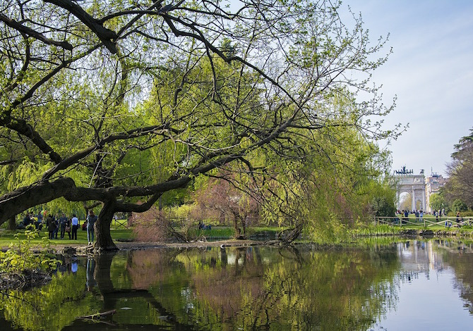 osservare la natura rende felici