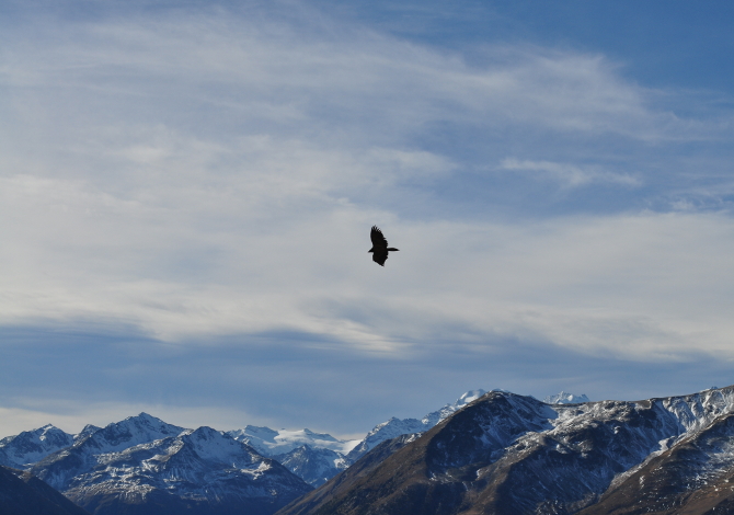 valtellina_gipeto