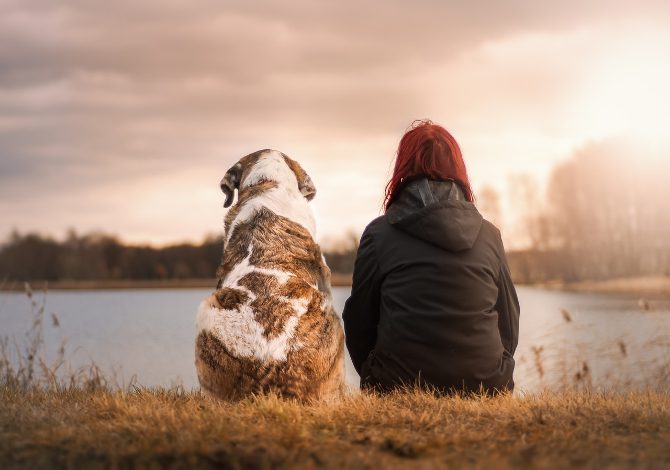 avere un cane migliora la vita