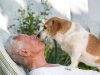 il-cane-un-compagno-sempre-fedele