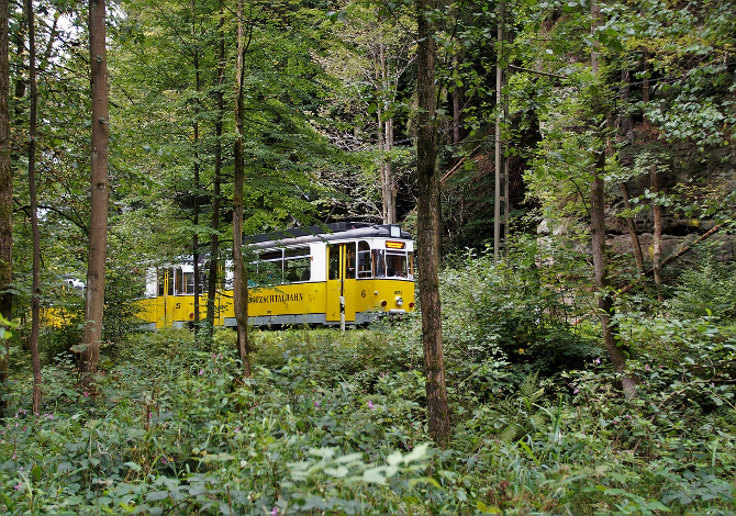 PARCO_SASSONIA_TRAM