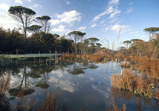 comacchio-bike-Pineta-delta-po-bike-flamingos-photo-parcodeltadelpo