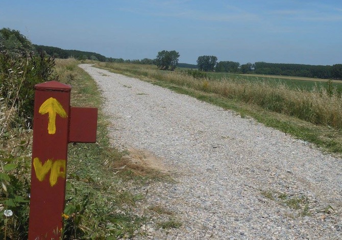 la-nuova-via-italiana-al-cammino-di-santiago-da-aquileia-a-genova-la-via-postumia-segnaletica