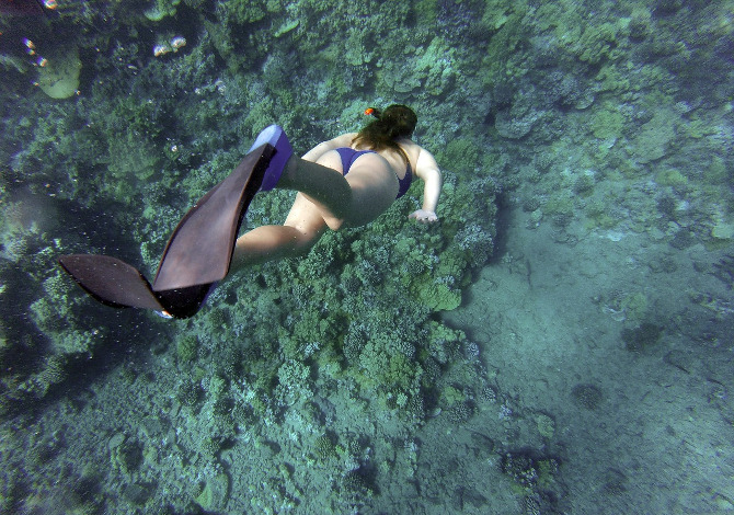 ENEN Pinne Corte da Nuoto e Snorkeling, Pinne Nuoto Piscina Pinne da  Snorkeling per Adulti e Bambini per Apnea Immersioni e Snorkeling