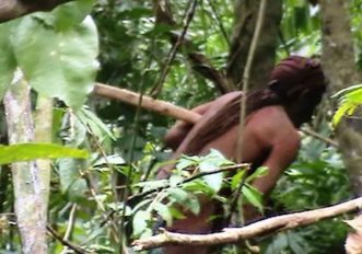 amazzonia-sopravvissuto-foresta-video-foto-acervo-funai