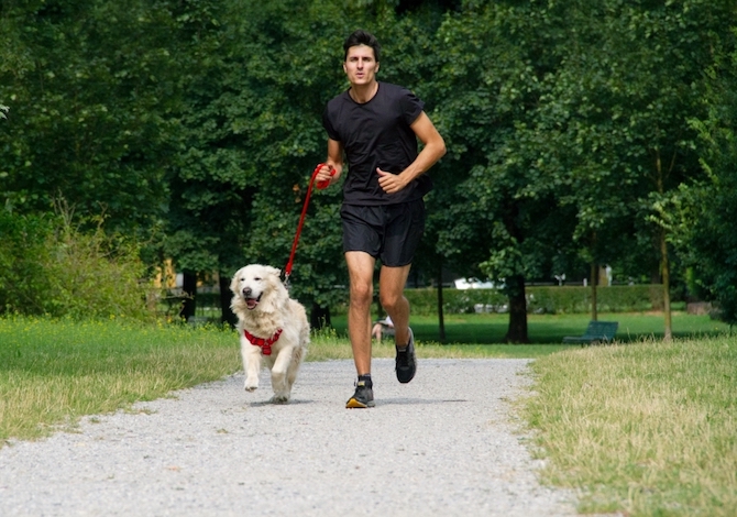 La-corsa-con-il-cane-fa-bene-anche-al-cane-Bob-Martin-Dog-Run-a-Milano