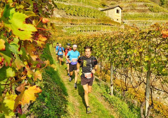 Valtellina Wine Trail 2018