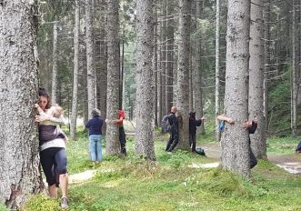 abbraccio-alberi-stelvio-trento