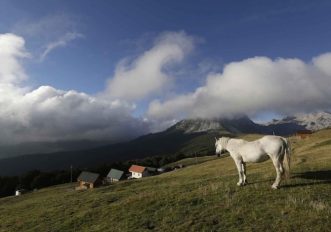 high-scardus-trail-trekking-balcani-cavallo