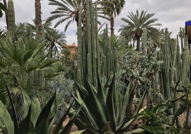 marrakech-con-i-bambini-weekend-majorelle