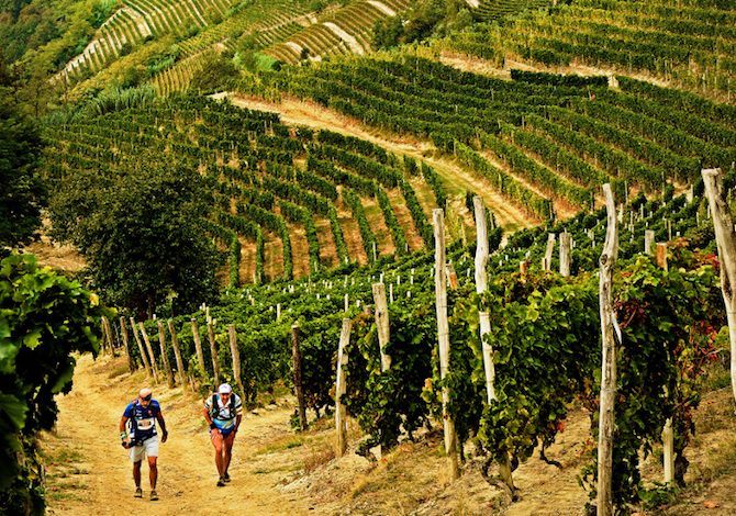 trail-moscato-langhe-corsa-percorso