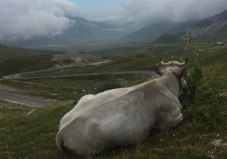 lonely-planet-piemonte-abruzzo