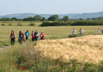 via-francigena-maratona