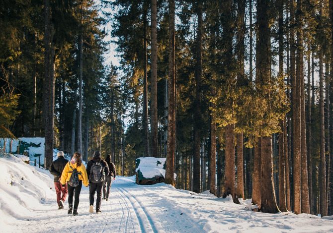 Consigli camminare sulla neve senza ciaspole