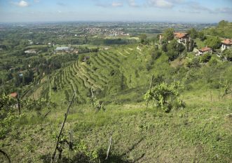 monza-montevecchia-trail