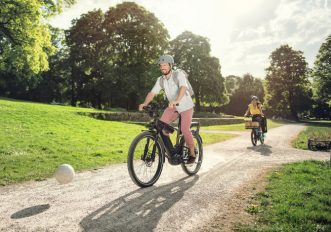 Manutenzione della e-bike