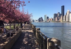 dove-correre-a-new-york-foto-martino-de-mori