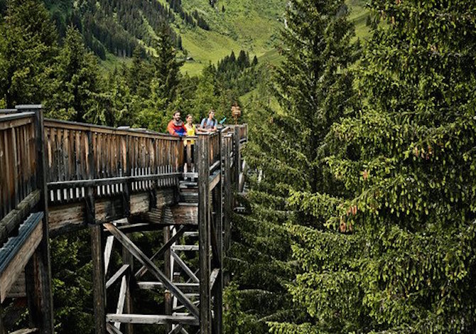 saalbach-sommer-outdoor-baumzipfelweg-016