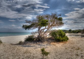 Spiagge libere selvagge in Italia