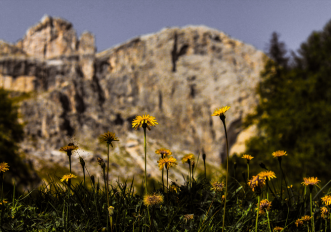 Escursioni in Trentino Alto Adige