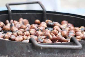 castagne proprietà