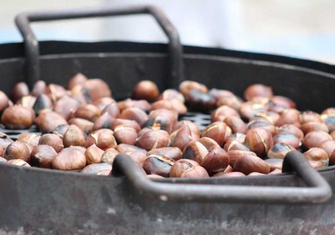 castagne proprietà