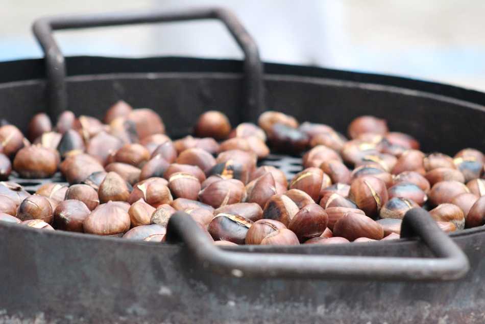 castagne liguria