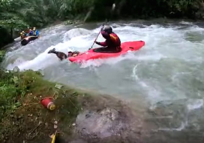 cucciolo-capriolo-salvato-fiume