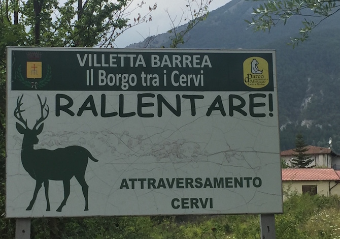 parco-abruzzo-cervi