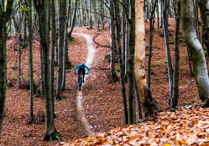 viaggi-bici-novembre-foliage