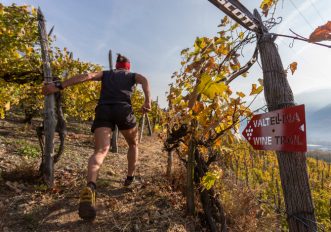 Valtellina Wine Trail 2019: programma, orari, percorsi