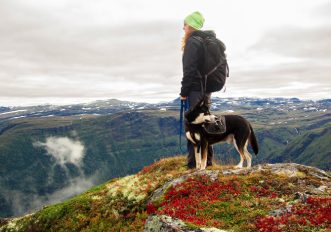 Cane in montagna regole divieti comportamenti