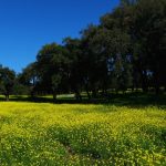 andalusia-trekking-aracena-lamberto-livraghi