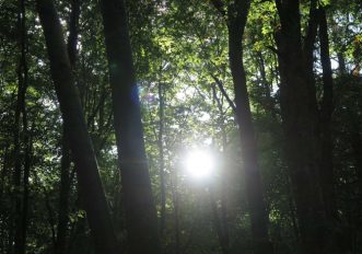 Il Parco del respiro in Paganella