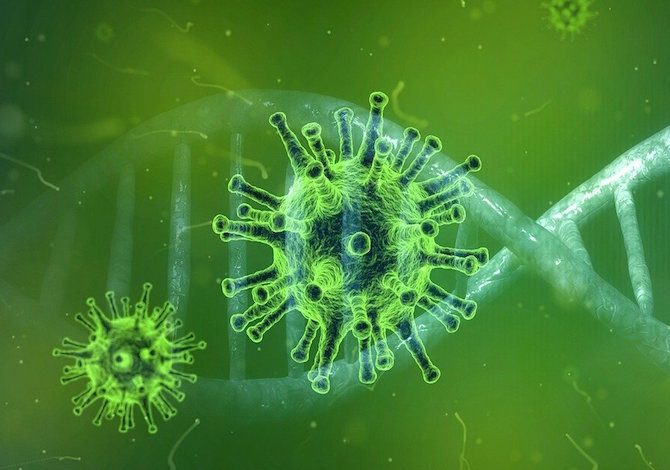 coronavirus-scoperto-un-anticorpo-che-blocca-il-covid-19-nelle-cellule