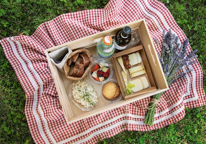 8 itinerari e-bike + pic-nic gourmet in Valchiavenna