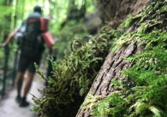 La mia Via Francigena a piedi: da Besançon al Gran San Bernardo in Svizzera